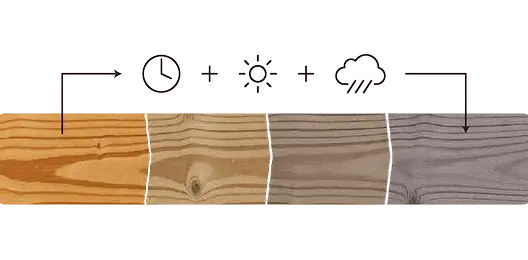 Termodrevo_Thermory_Thermowood_Dozrievanie_Woodmaster