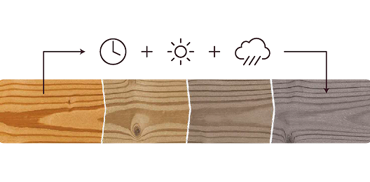 Termodrevo_Thermory_Thermowood_Dozrievanie_Woodmaster